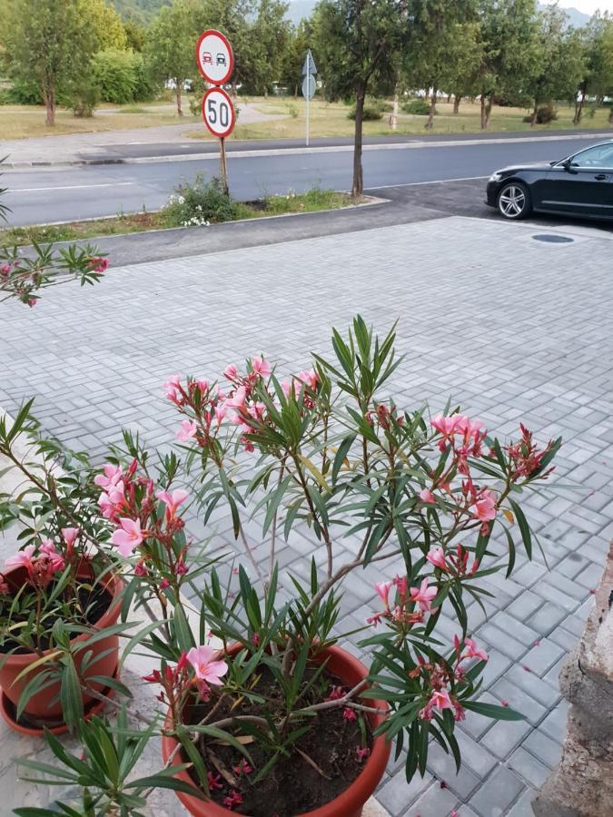 Pretty Garden Villa Orsova Exterior photo